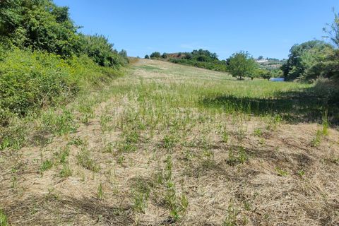 Helårsgrund i Torres Vedras, Lisbon, Torres Vedras - € 21.500 | Ref: 295240076 - foto 15