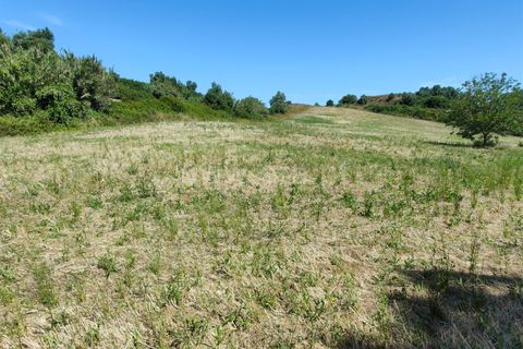 Helårsgrund i Torres Vedras, Lisbon, Torres Vedras - € 21.500 | Ref: 295240076 - foto 16