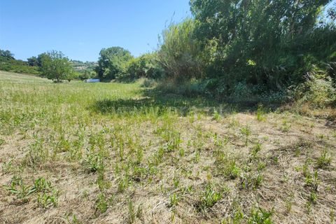 Helårsgrund i Torres Vedras, Lisbon, Torres Vedras - € 21.500 | Ref: 295240076 - foto 17