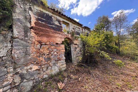 Farm hus i Monchique, Faro, Monchique - € 349.000 | Ref: 1761 - foto 1