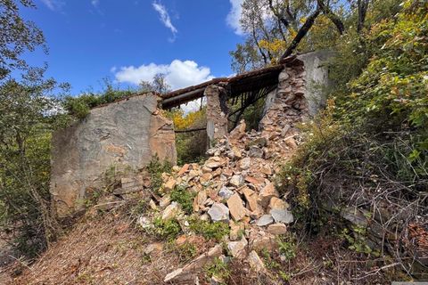 Farm hus i Monchique, Faro, Monchique - € 349.000 | Ref: 1761 - foto 4