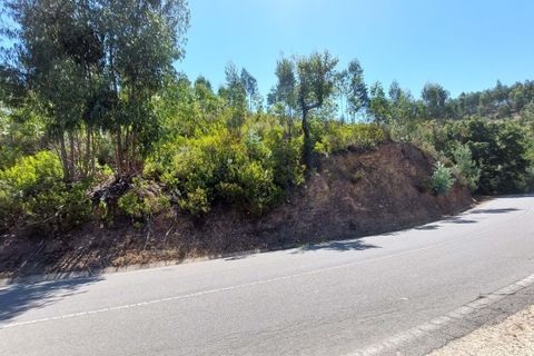 Farm hus i Monchique, Faro, Monchique - € 349.000 | Ref: 1761 - foto 7