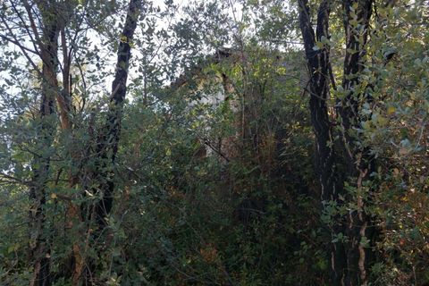 Farm hus i Monchique, Faro, Monchique - € 349.000 | Ref: 1761 - foto 8