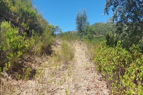 Farm hus i Monchique, Faro, Monchique - € 349.000 | Ref: 1761 - foto 9