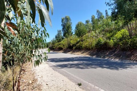Farm hus i Monchique, Faro, Monchique - € 349.000 | Ref: 1761 - foto 10