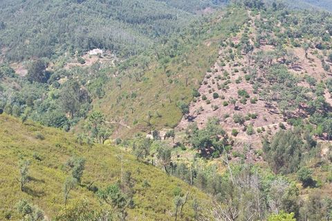 Farm hus i Monchique, Faro, Monchique - € 349.000 | Ref: 1761 - foto 12