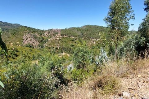 Farm hus i Monchique, Faro, Monchique - € 349.000 | Ref: 1761 - foto 15