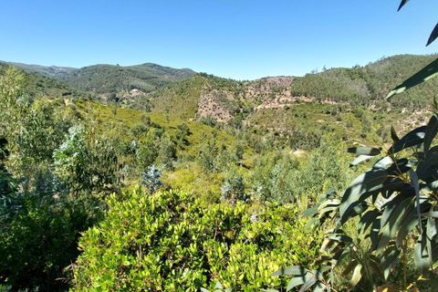 Farm hus i Monchique, Faro, Monchique - € 349.000 | Ref: 1761 - foto 16