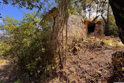 Farm hus i Monchique, Faro, Monchique - € 349.000 | Ref: 1761 - foto 18