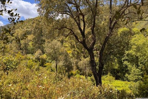 Farm hus i Monchique, Faro, Monchique - € 349.000 | Ref: 1761 - foto 20
