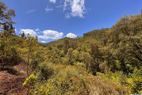 Farm hus i Monchique, Faro, Monchique - € 349.000 | Ref: 1761 - foto 21