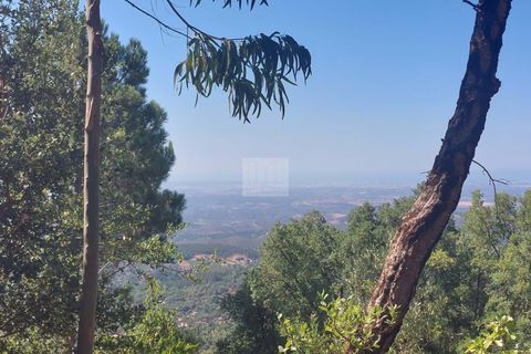Helårsgrund i Monchique, Faro, Monchique - € 70.000 | Ref: 1762 - foto 2