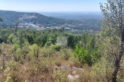 Helårsgrund i Monchique, Faro, Monchique - € 70.000 | Ref: 1762 - foto 3