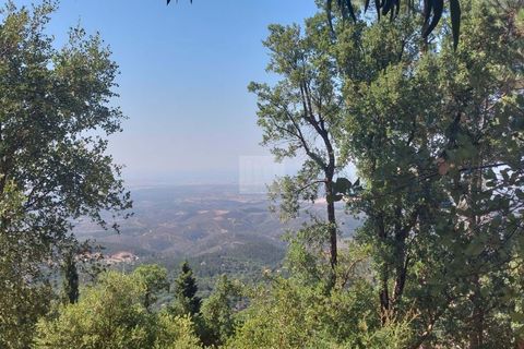 Helårsgrund i Monchique, Faro, Monchique - € 70.000 | Ref: 1762 - foto 6