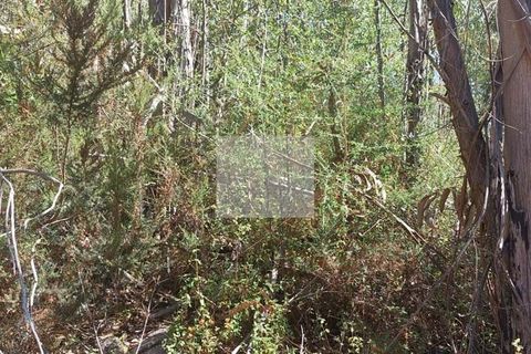 Helårsgrund i Monchique, Faro, Monchique - € 70.000 | Ref: 1762 - foto 8