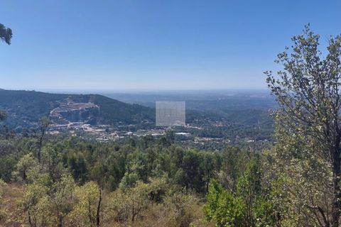 Helårsgrund i Monchique, Faro, Monchique - € 70.000 | Ref: 1762 - foto 12