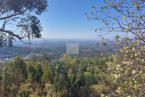 Helårsgrund i Monchique, Faro, Monchique - € 70.000 | Ref: 1762 - foto 14