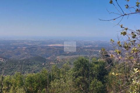 Helårsgrund i Monchique, Faro, Monchique - € 70.000 | Ref: 1762 - foto 15