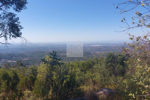 Helårsgrund i Monchique, Faro, Monchique - € 70.000 | Ref: 1762 - foto 16