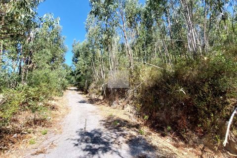 Helårsgrund i Monchique, Faro, Monchique - € 70.000 | Ref: 1762 - foto 19