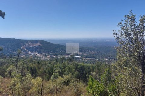 Helårsgrund i Monchique, Faro, Monchique - € 70.000 | Ref: 1762 - foto 26