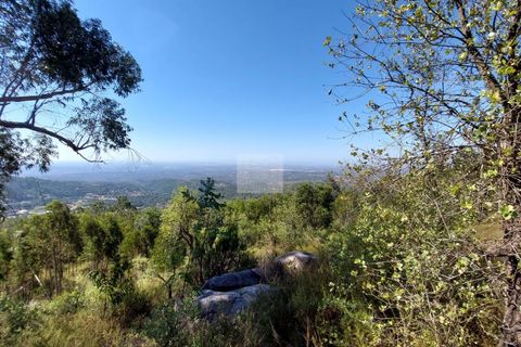 Helårsgrund i Monchique, Faro, Monchique - € 70.000 | Ref: 1762 - foto 31