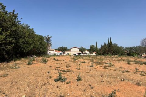 Terra a Thuir, Pyrenees-Orientales, Thuir - € 299.000 | Ref: Th004 - foto 2