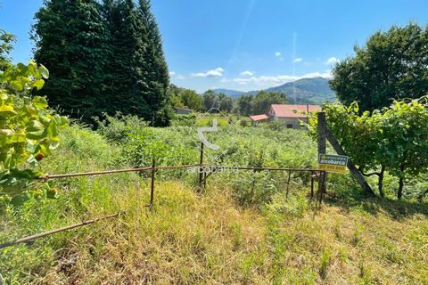 Helårsgrund i Arcos de Valdevez, Viana do Castelo, Arcos de Valdevez - € 15.000 | Ref: AV6058 - foto 2
