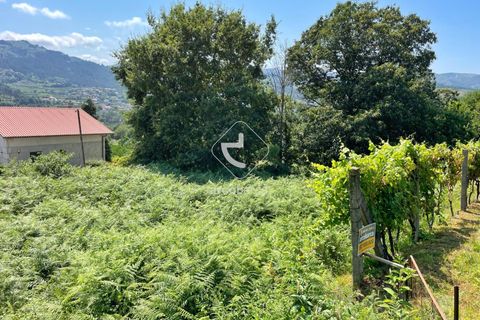 Helårsgrund i Arcos de Valdevez, Viana do Castelo, Arcos de Valdevez - € 15.000 | Ref: AV6058 - foto 7