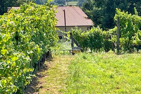 Helårsgrund i Arcos de Valdevez, Viana do Castelo, Arcos de Valdevez - € 15.000 | Ref: AV6058 - foto 10