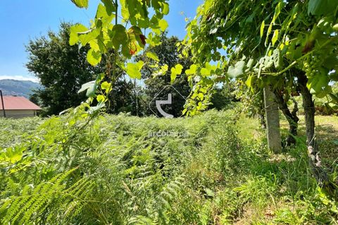 Helårsgrund i Arcos de Valdevez, Viana do Castelo, Arcos de Valdevez - € 15.000 | Ref: AV6058 - foto 12