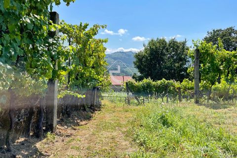 Helårsgrund i Arcos de Valdevez, Viana do Castelo, Arcos de Valdevez - € 15.000 | Ref: AV6058 - foto 17