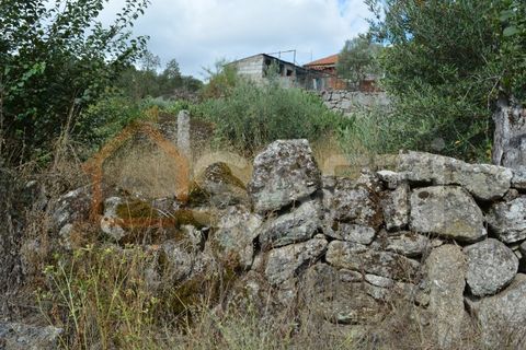 Landejendom i Pinhel, Guarda, Pinhel - € 90.000 | Ref: SAFTI:004570 - foto 9