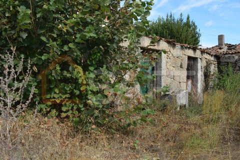 Landejendom i Pinhel, Guarda, Pinhel - € 90.000 | Ref: SAFTI:004570 - foto 10