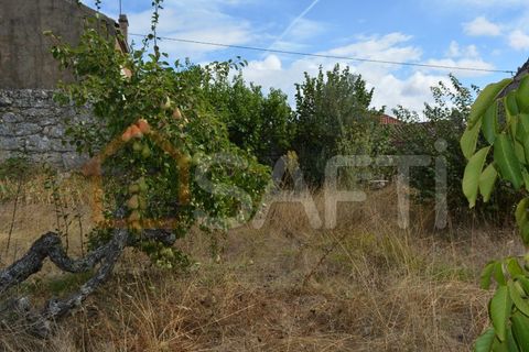 Landejendom i Pinhel, Guarda, Pinhel - € 90.000 | Ref: SAFTI:004570 - foto 15
