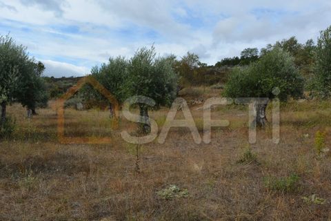 Landejendom i Pinhel, Guarda, Pinhel - € 90.000 | Ref: SAFTI:004570 - foto 16