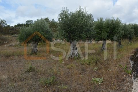 Landejendom i Pinhel, Guarda, Pinhel - € 90.000 | Ref: SAFTI:004570 - foto 17