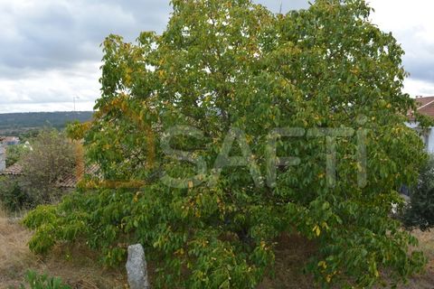 Landejendom i Pinhel, Guarda, Pinhel - € 90.000 | Ref: SAFTI:004570 - foto 19