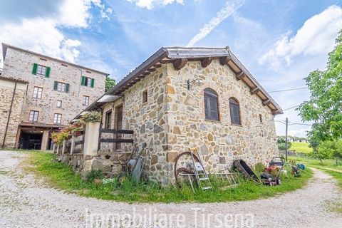 Farm hus i Orvieto, Terni, Orvieto - € 1.370.000 | Ref: CS504 - foto 6
