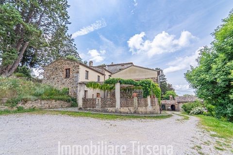 Farm hus i Orvieto, Terni, Orvieto - € 1.370.000 | Ref: CS504 - foto 9