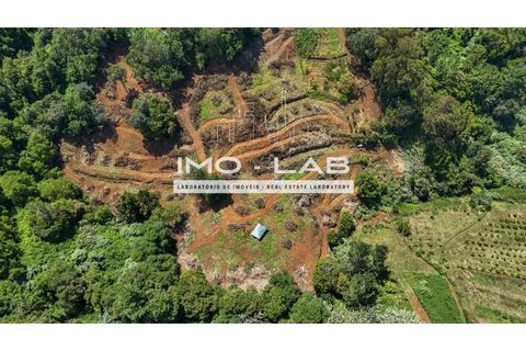 Helårsgrund i Santana, Madeira, Santana - € 280.000 | Ref: TER_240 - foto 4