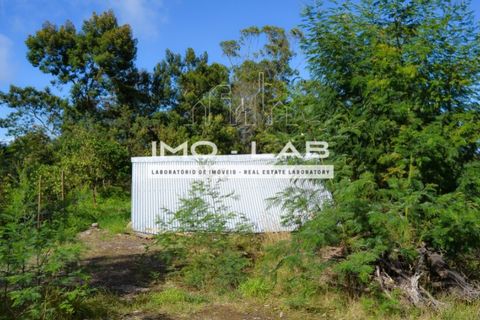 Helårsgrund i Santana, Madeira, Santana - € 280.000 | Ref: TER_240 - foto 7