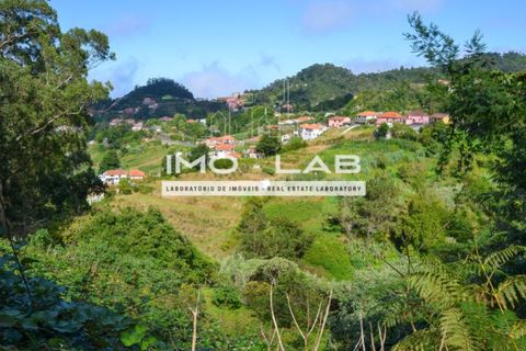 Helårsgrund i Santana, Madeira, Santana - € 280.000 | Ref: TER_240 - foto 8