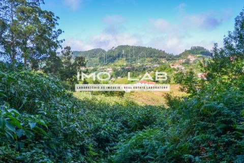 Helårsgrund i Santana, Madeira, Santana - € 280.000 | Ref: TER_240 - foto 9