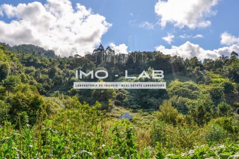 Helårsgrund i Santana, Madeira, Santana - € 280.000 | Ref: TER_240 - foto 11