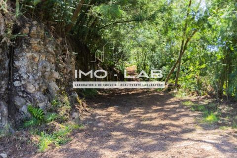 Helårsgrund i Santana, Madeira, Santana - € 280.000 | Ref: TER_240 - foto 13