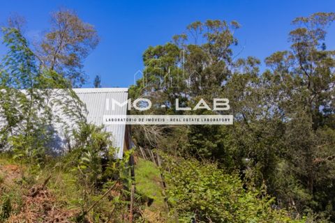 Helårsgrund i Santana, Madeira, Santana - € 280.000 | Ref: TER_240 - foto 14