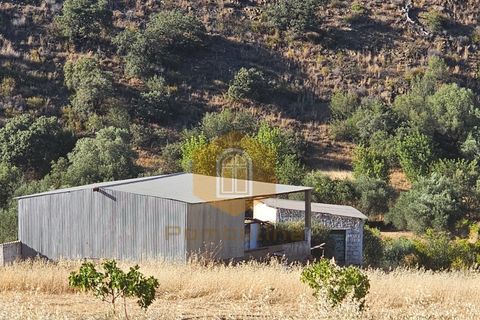 Grond in Odeleite, Faro, Odeleite - € 90.000 | Ref: 2024028 - foto 1