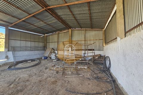 Grond in Odeleite, Faro, Odeleite - € 90.000 | Ref: 2024028 - foto 6