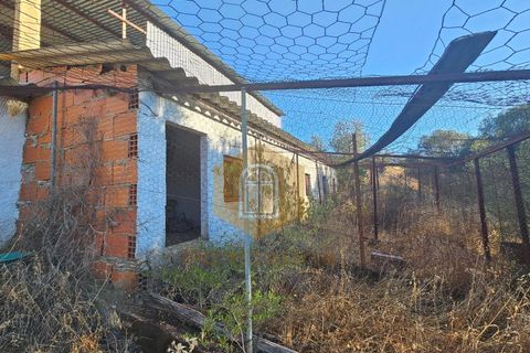 Grond in Odeleite, Faro, Odeleite - € 90.000 | Ref: 2024028 - foto 11